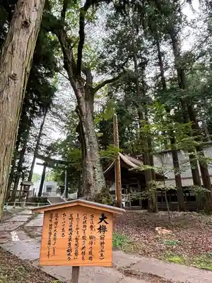 諏訪大社(長野県)