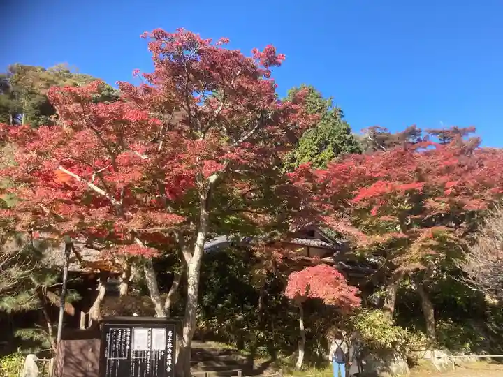 円覚寺(神奈川県)