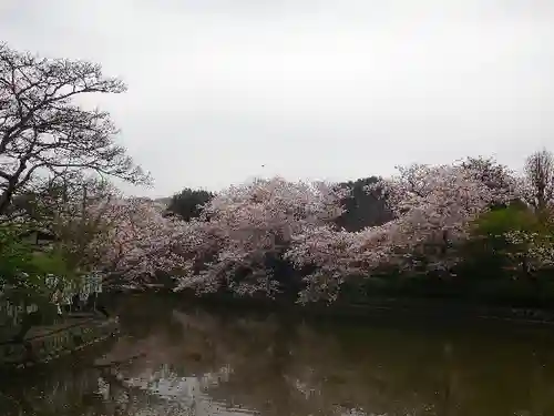 鶴岡八幡宮の庭園