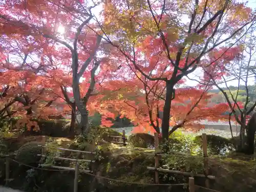 龍安寺(京都府)