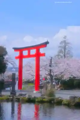 富士山本宮浅間大社(静岡県)