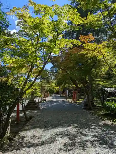 大原野神社(京都府)