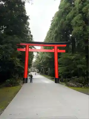 霧島神宮(鹿児島県)