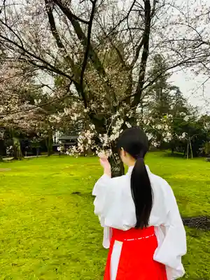 守りの神 藤基神社(新潟県)