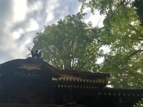 麻賀多神社(千葉県)