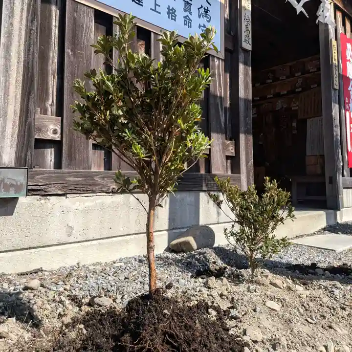 七重浜海津見神社(北海道)