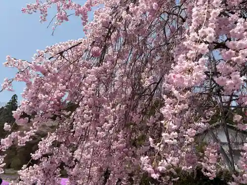 永澤寺(兵庫県)