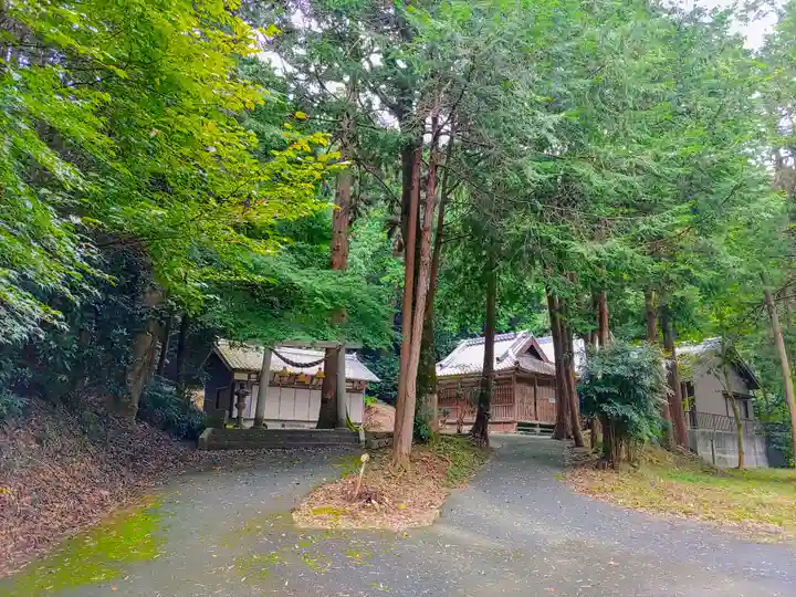 稲束神社(平尾町)の自然