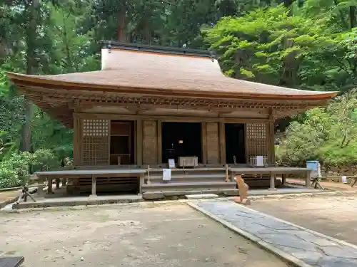 室生寺の{uncategorized: "未分類", other: "その他", undefined: "問題あり", building: "その他建物", grave: "お墓", sacred_gate: "鳥居", guardian: "狛犬", statue: "像", buddha: "仏像", history: "歴史", nature: "自然", garden: "庭園", animal: "動物", pagoda: "塔", temizu: "手水舎", mountain_gate: "山門・神門", sanctuary: "本殿・本堂", subordinate: "末社・摂社", art: "芸術", scenery: "景色", jizo: "地蔵", ema: "絵馬", goshuin: "御朱印", omikuji: "おみくじ", items: "授与品その他", amulet: "お守り", goshuincho: "御朱印帳", eats: "食事", festival: "お祭り", votive_dance: "神楽", shichigosan: "七五三参", wedding: "結婚式", experience: "体験その他", initially: "初詣", around: "周辺", anti_infection: "感染症対策"}