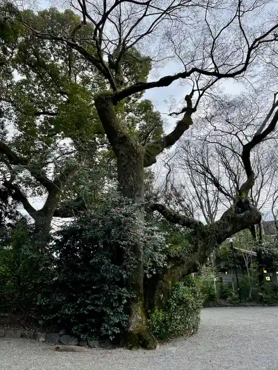 上知我麻神社(熱田神宮摂社)(愛知県)
