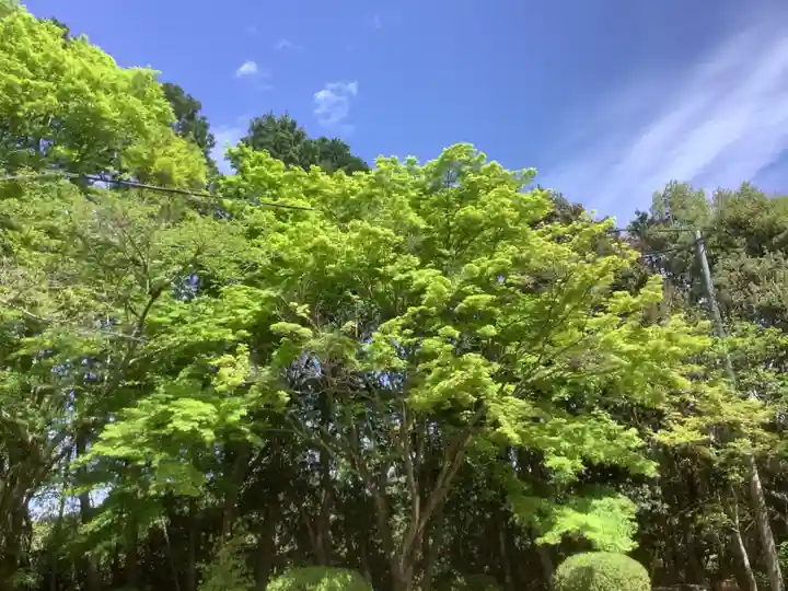 玉野御嶽神社の自然