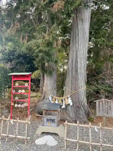 矢奈比賣神社（見付天神）の自然