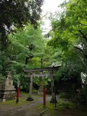 赤坂氷川神社の鳥居