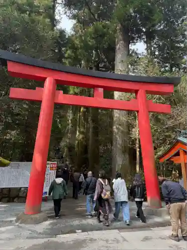 箱根神社(神奈川県)