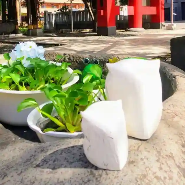 彌彦神社 (伊夜日子神社)の像