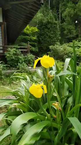 普濟寺の庭園