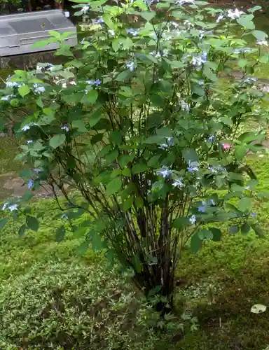 寂光院(京都府)