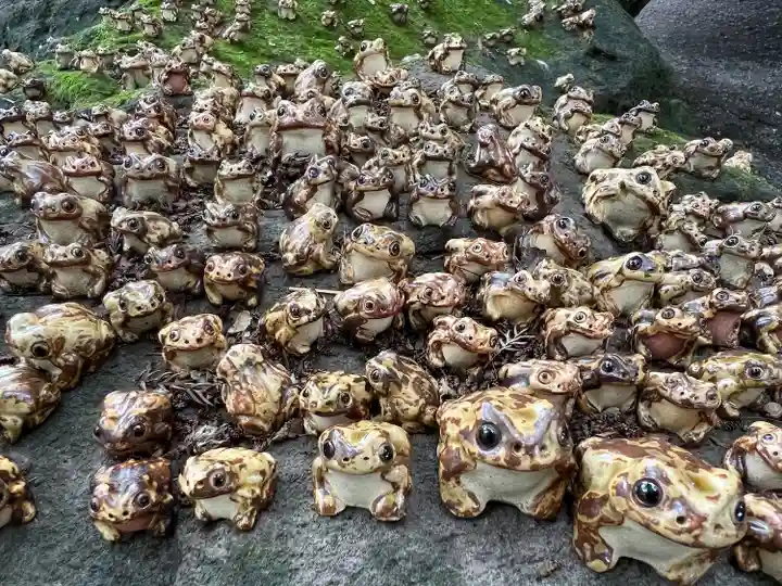 渋川八幡宮(群馬県)