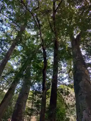 金山神社(三重県)