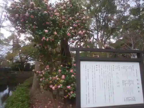 寒川神社の歴史