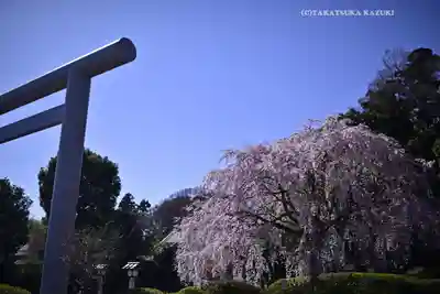櫻木神社(千葉県)