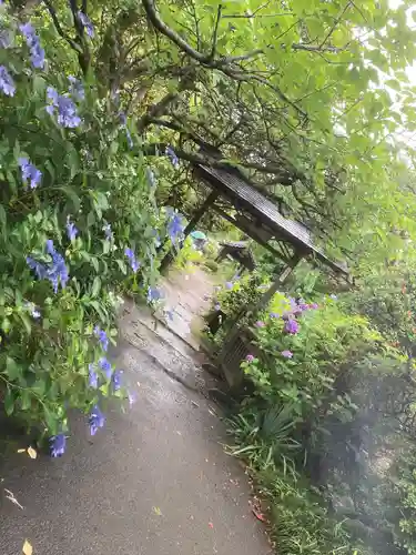 資福寺(宮城県)