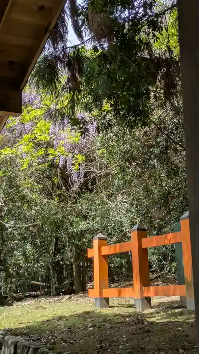 春日大社(奈良県)