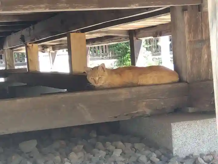 柏木神社(滋賀県)