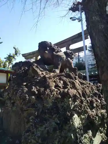 牛嶋神社の狛犬