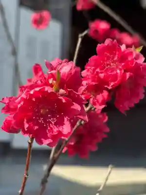 多賀神社の{uncategorized: "未分類", other: "その他", undefined: "問題あり", building: "その他建物", grave: "お墓", sacred_gate: "鳥居", guardian: "狛犬", statue: "像", buddha: "仏像", history: "歴史", nature: "自然", garden: "庭園", animal: "動物", pagoda: "塔", temizu: "手水舎", mountain_gate: "山門・神門", sanctuary: "本殿・本堂", subordinate: "末社・摂社", art: "芸術", scenery: "景色", jizo: "地蔵", ema: "絵馬", goshuin: "御朱印", omikuji: "おみくじ", items: "授与品その他", amulet: "お守り", goshuincho: "御朱印帳", eats: "食事", festival: "お祭り", votive_dance: "神楽", shichigosan: "七五三参", wedding: "結婚式", experience: "体験その他", initially: "初詣", around: "周辺", anti_infection: "感染症対策"}