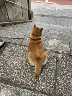 笠䅣稲荷神社(神奈川県)