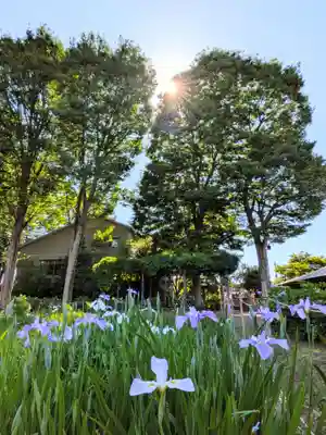 妙法寺(東京都)