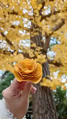 夜疑神社(大阪府)