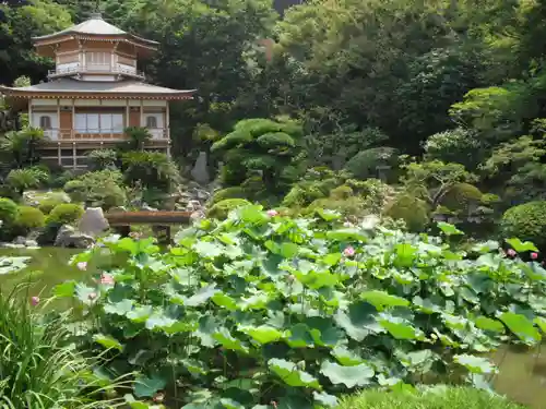 光明寺の庭園