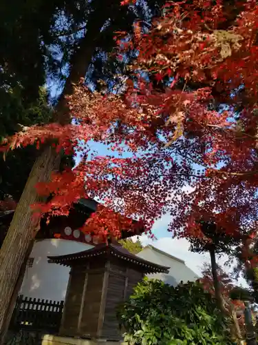 安楽寺の末社