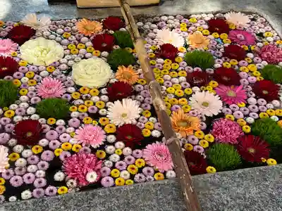 高円寺氷川神社(東京都)