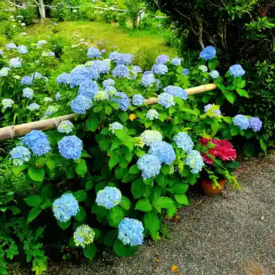 極楽寺(静岡県)