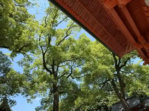 武蔵一宮氷川神社(埼玉県)