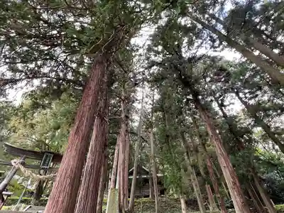 子檀嶺神社(長野県)