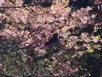 深大寺(東京都)