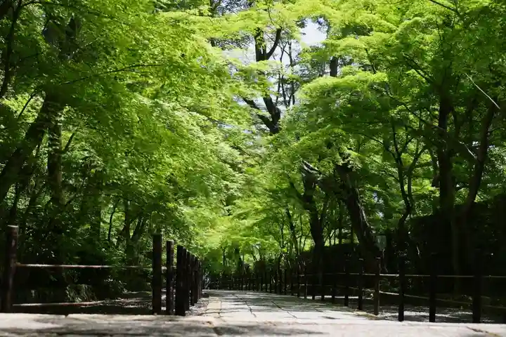 光明寺(粟生光明寺)(京都府)