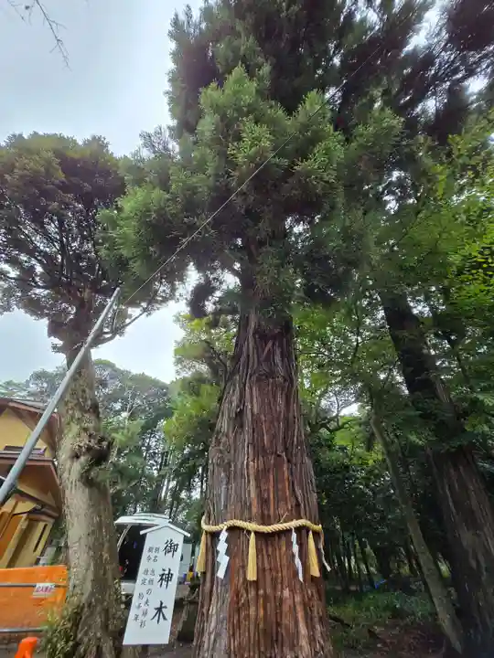 息栖神社(茨城県)
