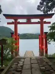 箱根神社の鳥居