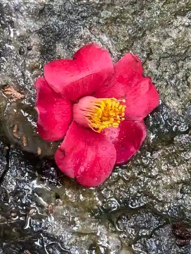 椿大神社(三重県)