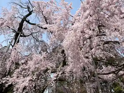 醍醐寺(京都府)