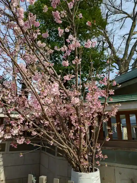戸越八幡神社(東京都)