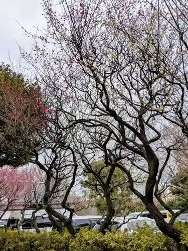新井天神北野神社(東京都)