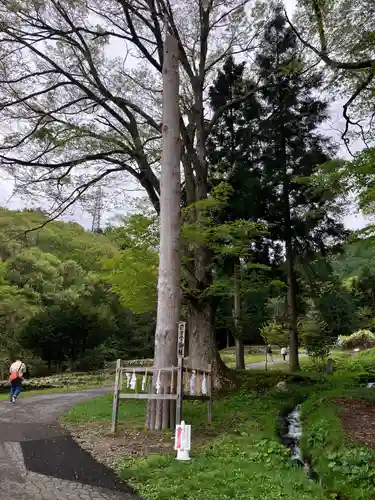 諏訪大社上社前宮の自然
