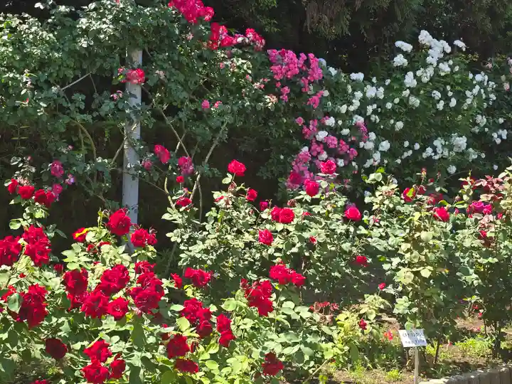 霊山寺(奈良県)