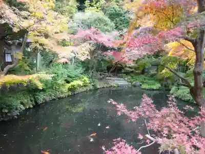 鶴岡八幡宮(神奈川県)